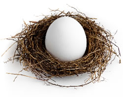 Nest-egg-article-015-1.jpg